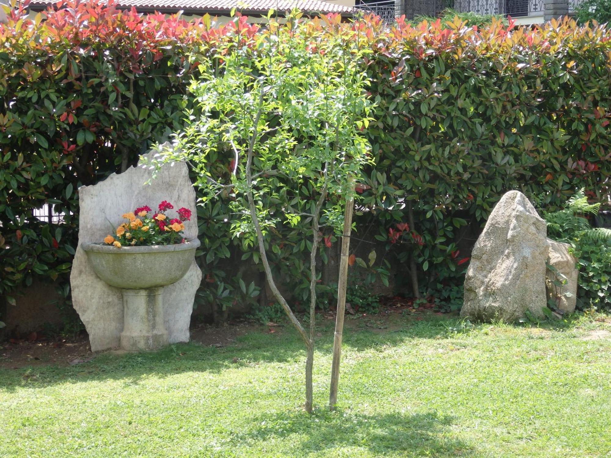 Bed and Breakfast Riflessi D'Arte Provaglio d'Iseo Exteriér fotografie